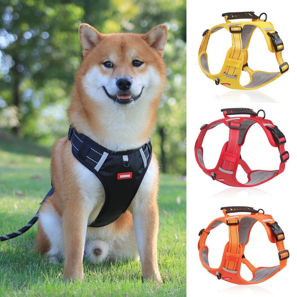 Nylon Dog Harness