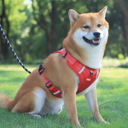 Nylon Dog Harness
