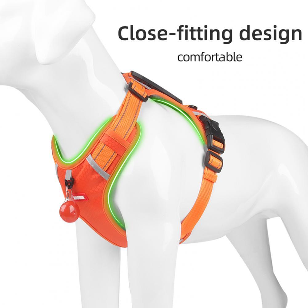 Nylon Dog Harness