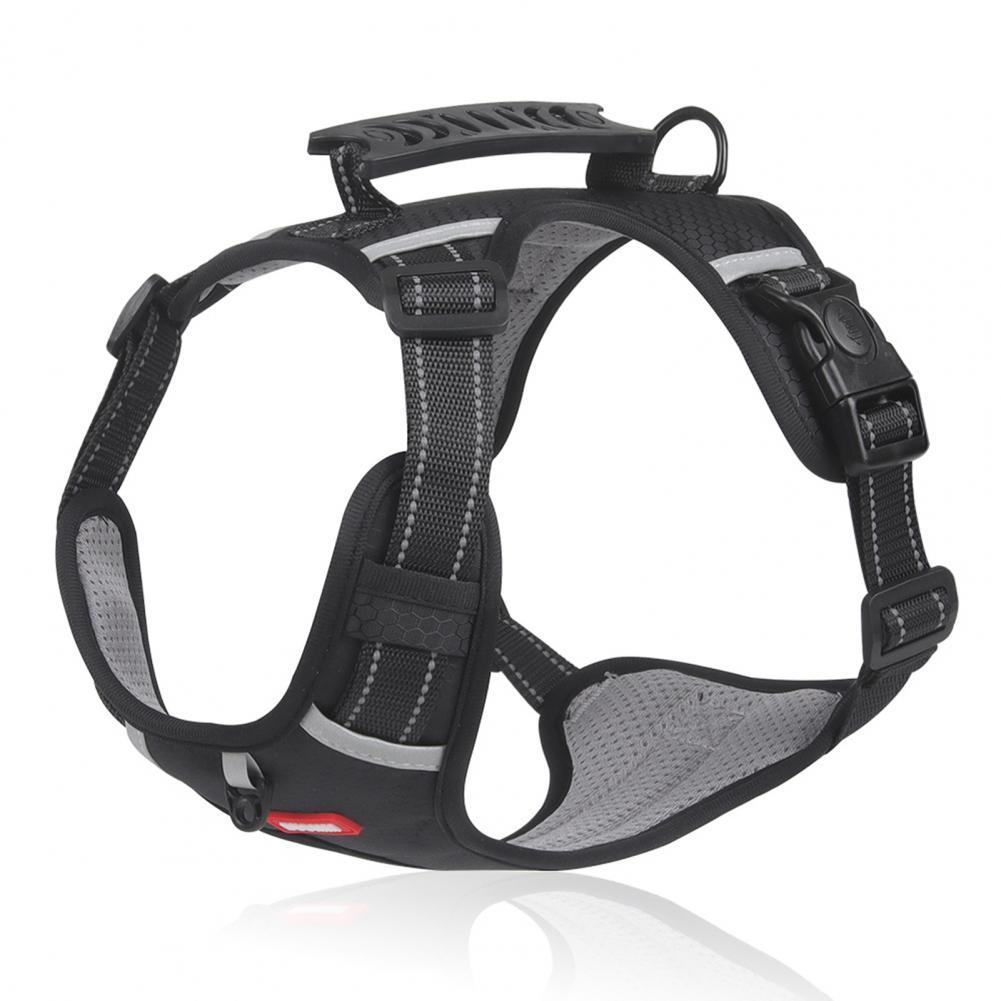 Nylon Dog Harness