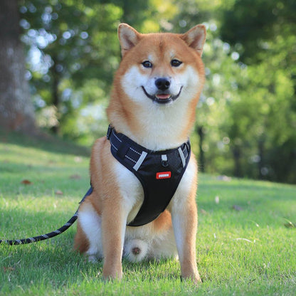 Nylon Dog Harness